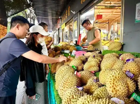 “榴莲自由”，真的要来了