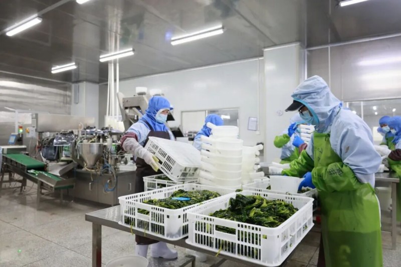 在福建亿达食品有限公司的生产车间内，同样是开足马力、赶制生产的忙碌态势。