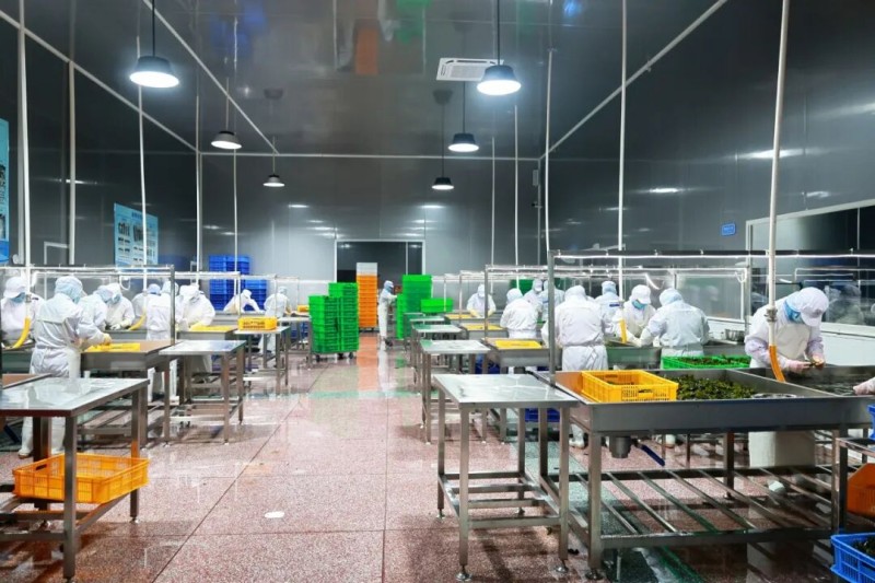 走进位于筱埕镇的福建省天源水产集团有限公司生产车间，机器轰鸣、热气升腾，一派热火朝天的繁忙景象。