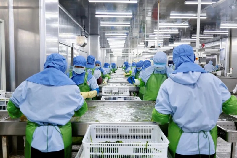 在福建亿达食品有限公司的生产车间内，同样是开足马力、赶制生产的忙碌态势。