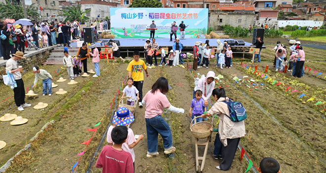 梅山乡野盛宴开启！稻田昆虫自然艺术节在惠安螺城热闹举办