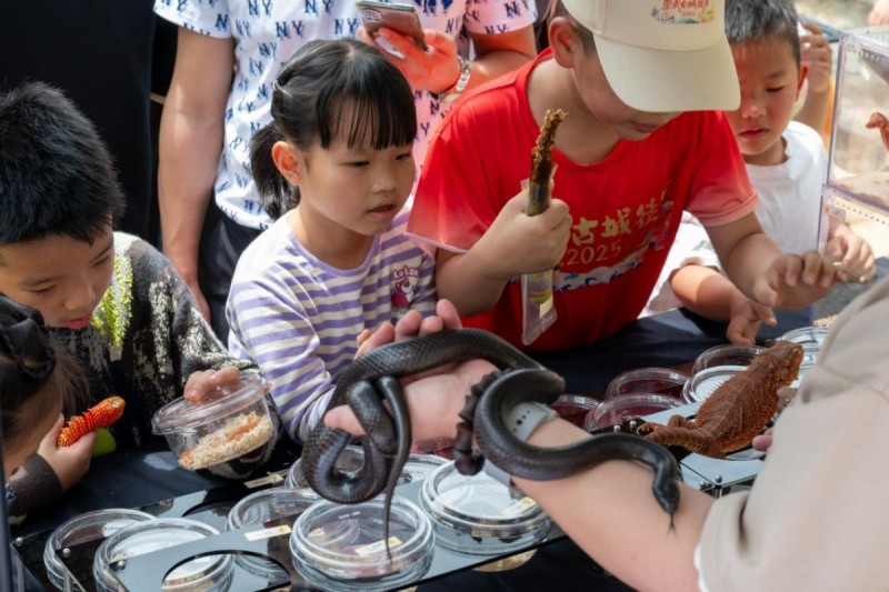  2026年5月10日，“梅山乡野·稻田昆虫自然艺术节”在福建省惠安县螺城镇梅山村石盘自然村举办。