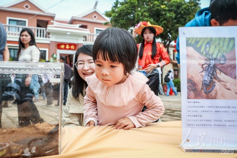  2026年5月10日，“梅山乡野·稻田昆虫自然艺术节”在福建省惠安县螺城镇梅山村石盘自然村举办。
