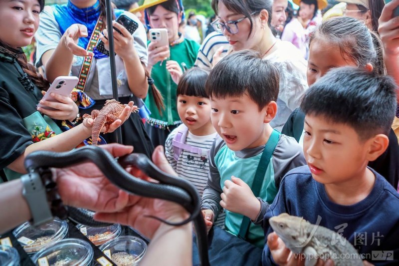  2026年5月10日，“梅山乡野·稻田昆虫自然艺术节”在福建省惠安县螺城镇梅山村石盘自然村举办。