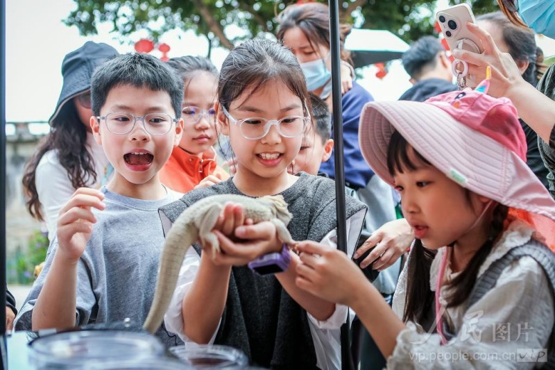  2026年5月10日，“梅山乡野·稻田昆虫自然艺术节”在福建省惠安县螺城镇梅山村石盘自然村举办。