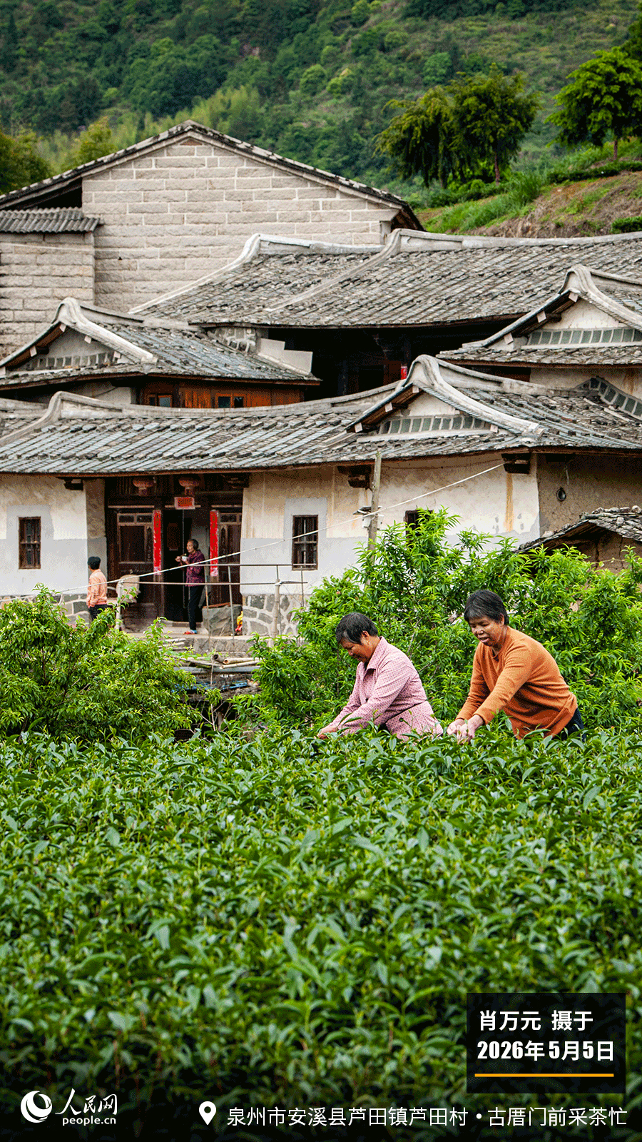 “遇见福建之美”栏目：聚焦福建一周大事记