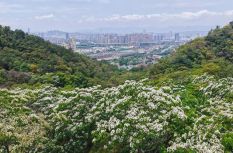 开啦！开啦！快来鼓山，“雪境”漫步！