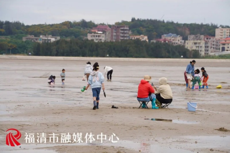 福清沙埔镇青屿村花蛤厂前的养殖滩涂已是一片热闹景象，不少亲子家庭拎着小桶体验“赶塘”乐趣。
