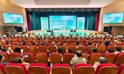 第三届武夷山竹业博览会在武夷会展中心盛大开启