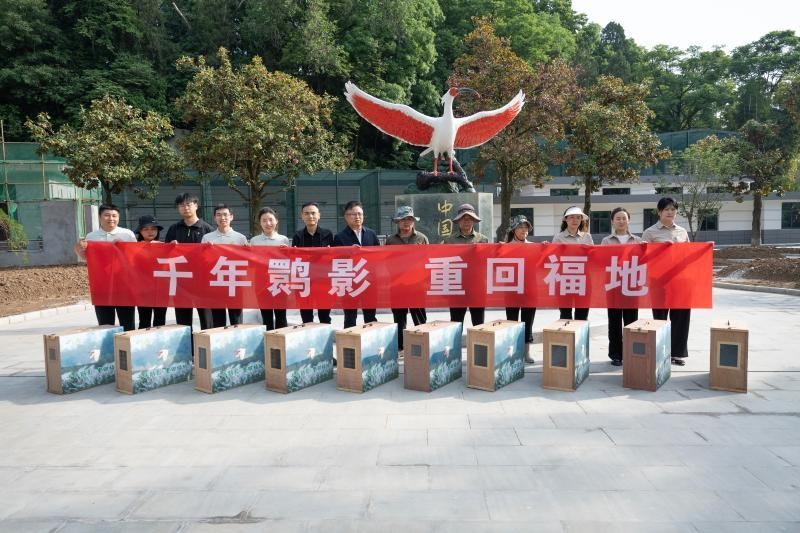 5月11日,陕西省洋县朱鹮生态园,朱鹮种源交接仪式。本报记者 王毅 摄