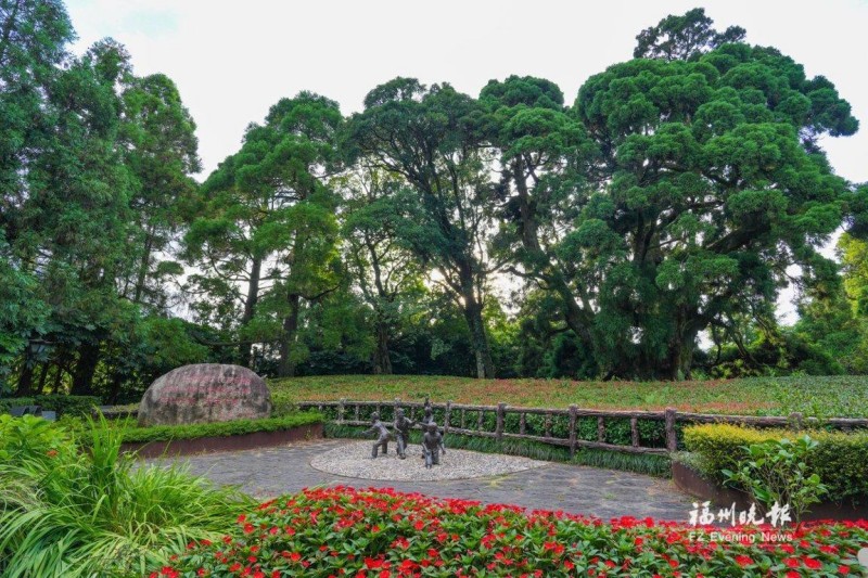 鼓岭柳杉王公园。