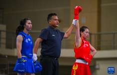 武术散打世界杯：杜玉霞获女子48公斤级冠军 