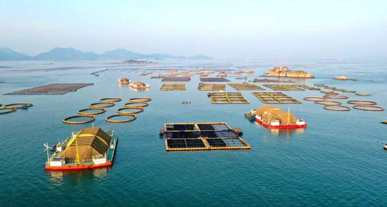 福建“海上钢铁侠”织就“福海粮仓”