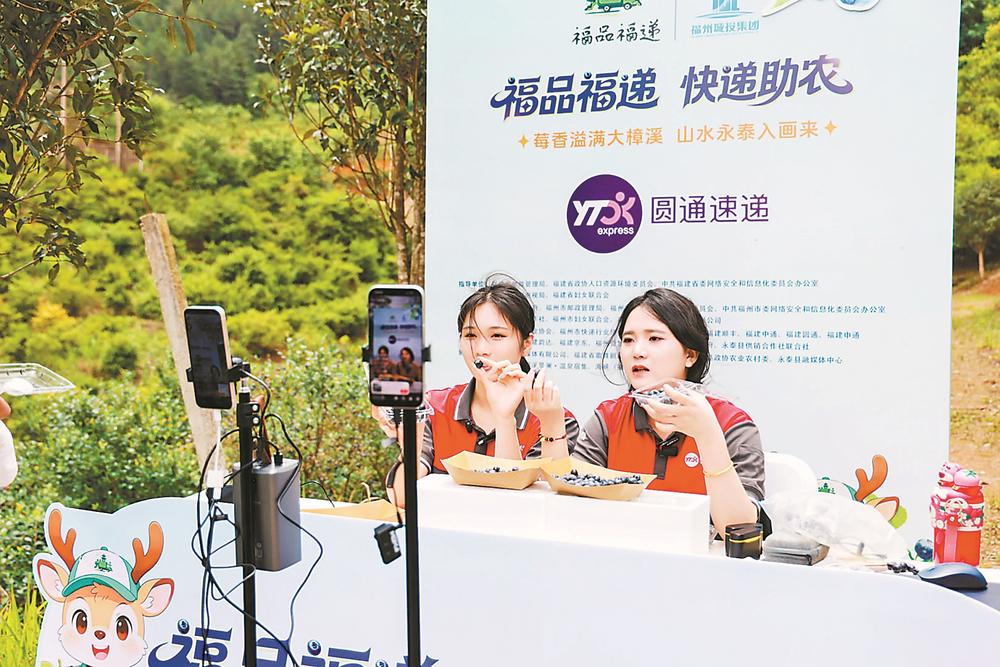 永泰蓝莓首次“触网” 单日线上卖出5976斤