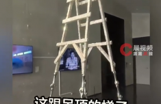 “梯子”艺术品被质疑就是普通梯子 成都美术馆回应