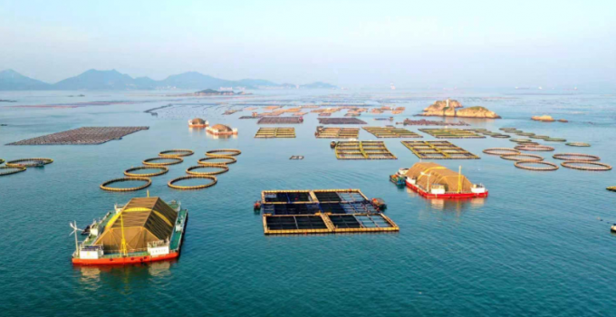 福建“海上钢铁侠”织就“福海粮仓”