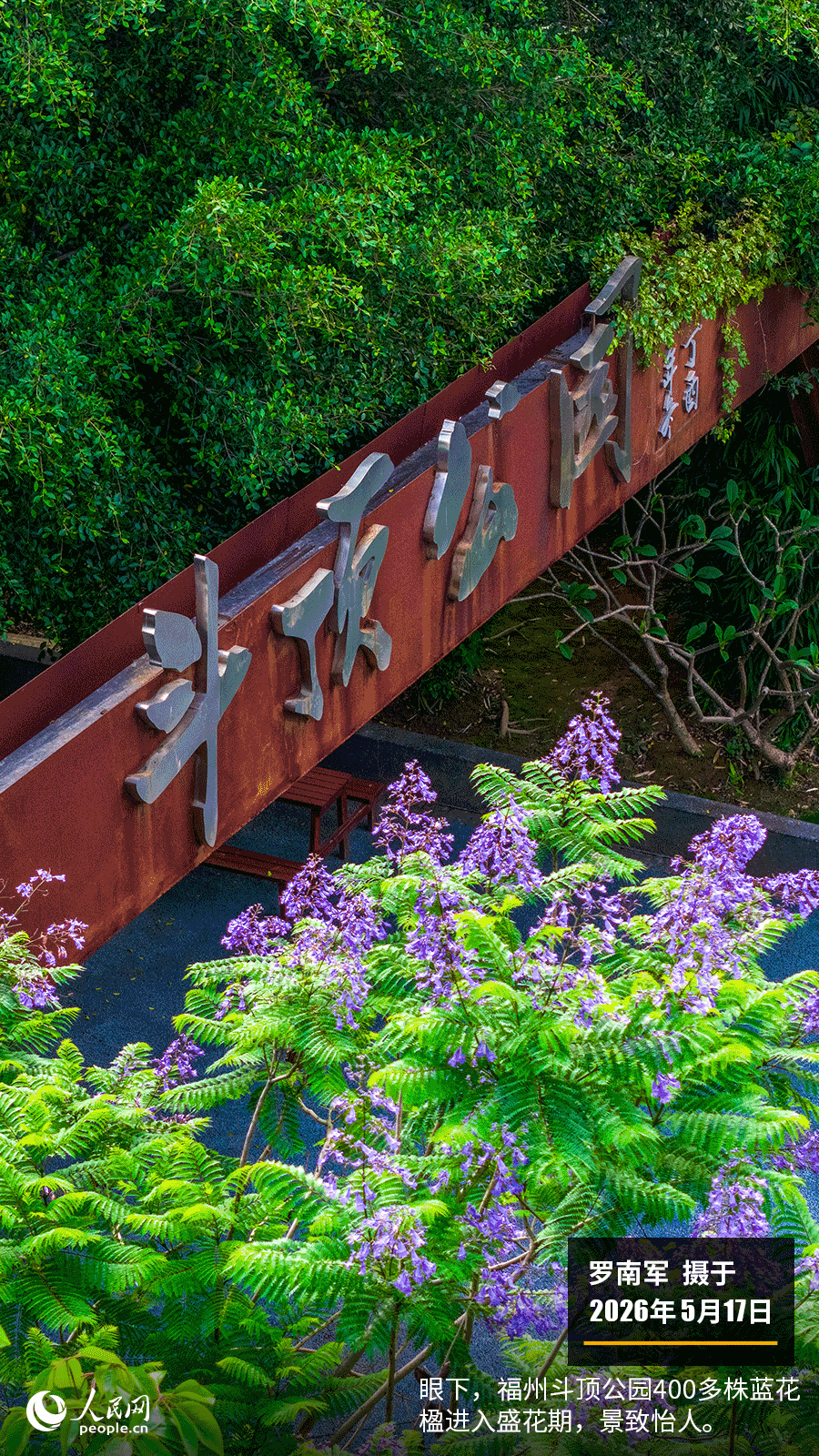 “遇见福建之美”栏目：聚焦福建一周大事记