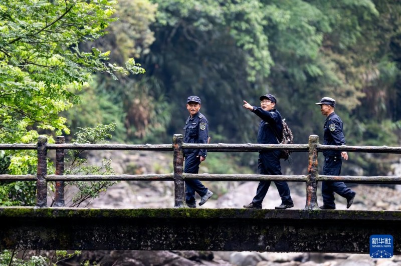 5月8日，武夷山国家公园福建桐木保护站护林员罗贤华（左一）与同事巡山。新华社记者 魏培全 摄