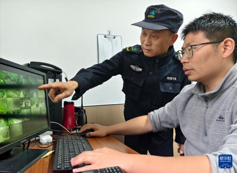 5月8日，护林员罗贤华（左）与同事在武夷山国家公园福建桐木保护站通过视频监控系统巡查林区动态。新华社记者 魏培全 摄