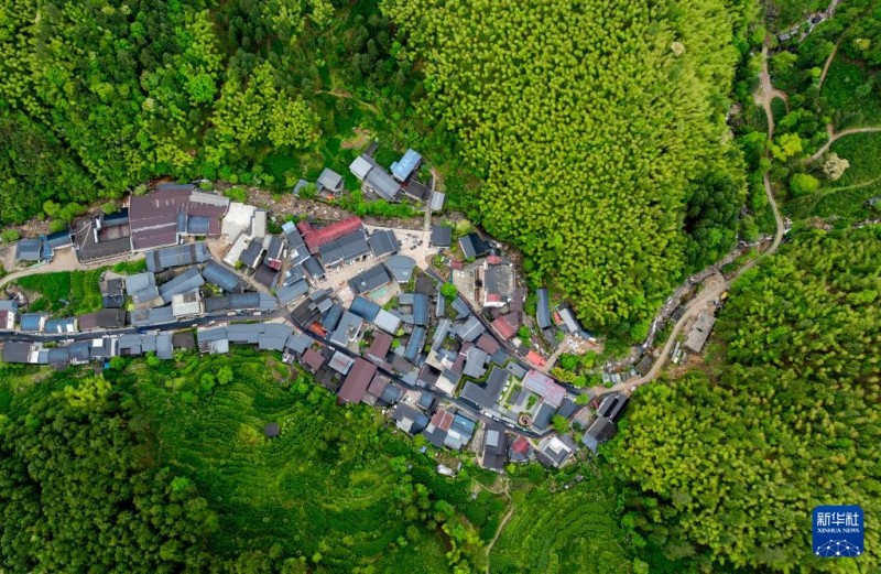 这是5月8日拍摄的武夷山国家公园腹地桐木村景观（无人机照片）。新华社记者 魏培全 摄