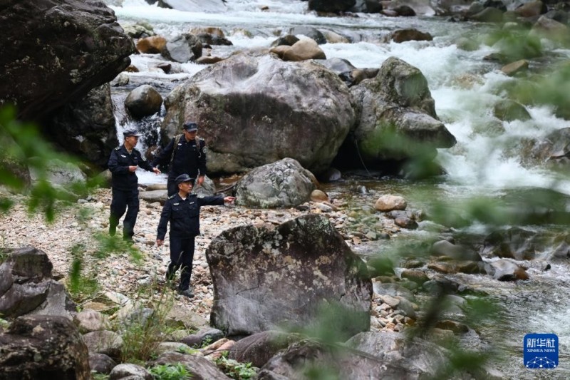 5月8日，武夷山国家公园福建桐木保护站护林员罗贤华（前）与同事在溪流边巡查。新华社记者 姜克红 摄
