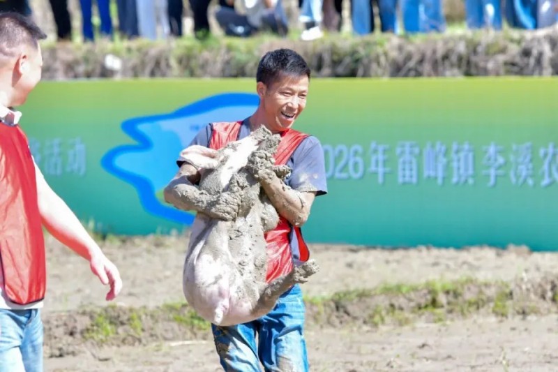趣味抓猪比赛