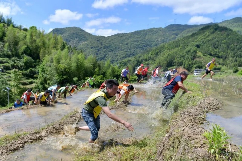 爬田比赛