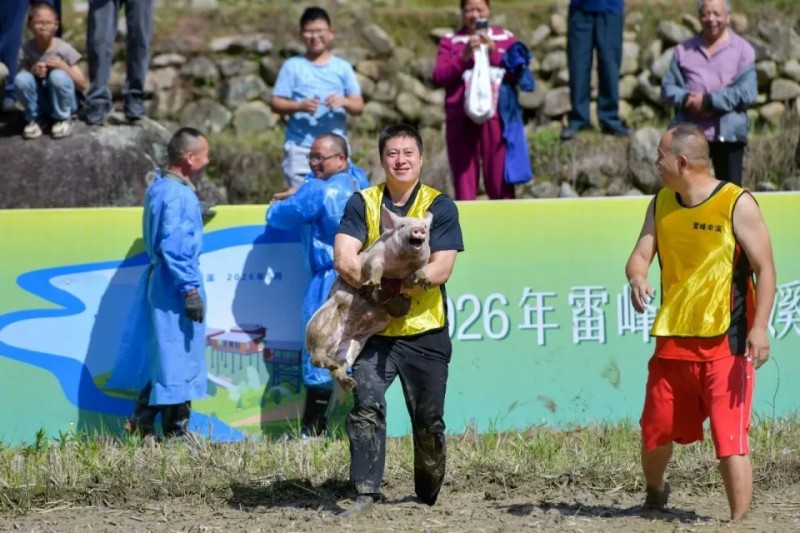 趣味抓猪比赛