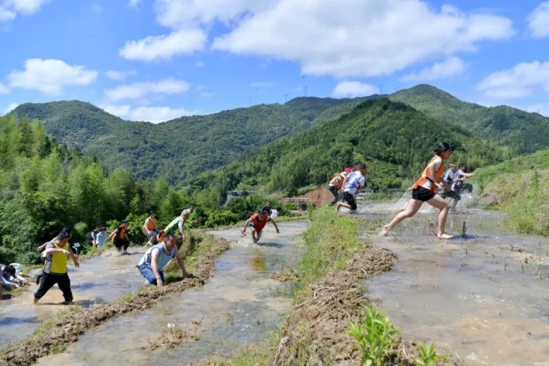 爬田比赛