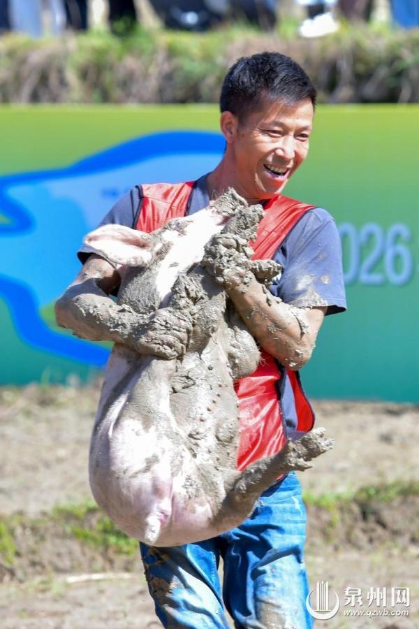 趣味抓猪比赛