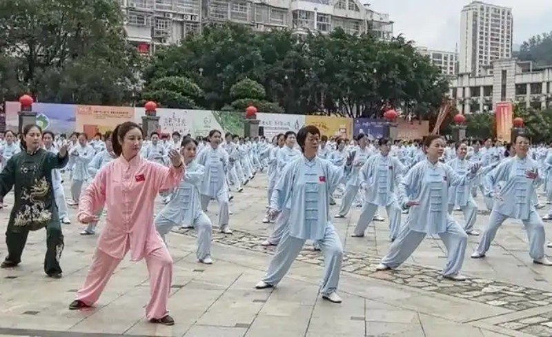 太极拳展演。主办方供图