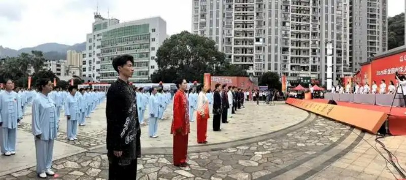 太极拳展演。主办方供图