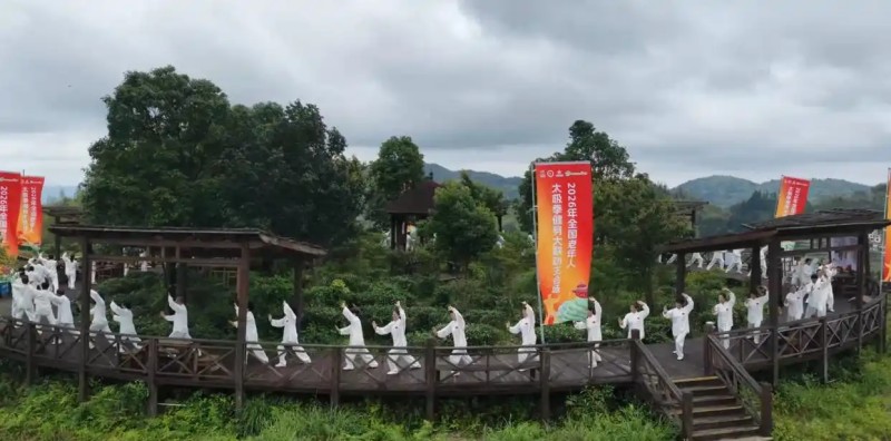 太极拳展演。主办方供图