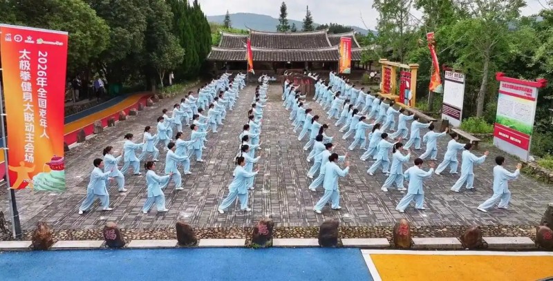 太极拳展演。主办方供图