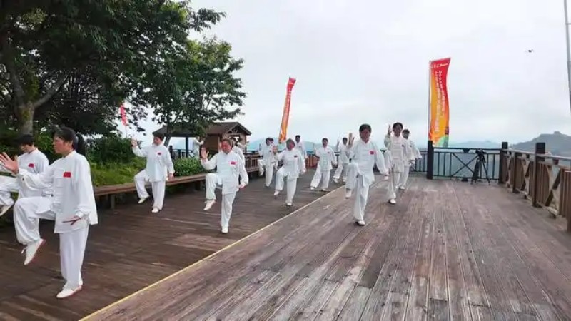 太极拳展演。主办方供图