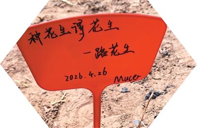 高校流行“耕读教育”