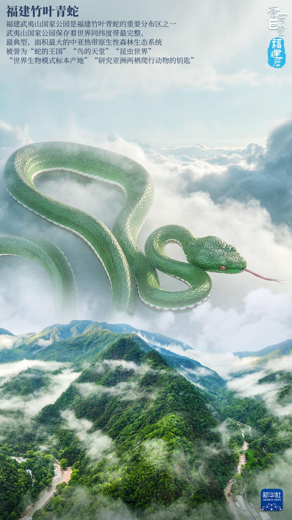 苍穹巨灵·福建篇