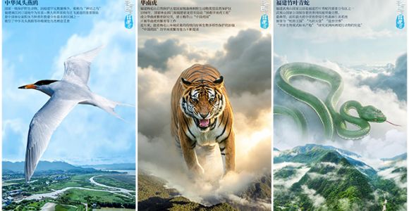 苍穹巨灵·福建篇