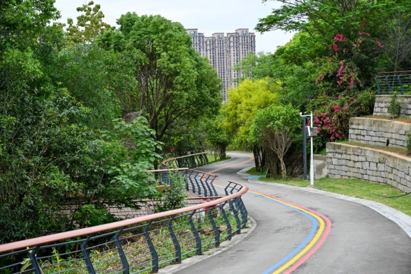 平整的沥青步道蜿蜒穿梭在翠绿草木间