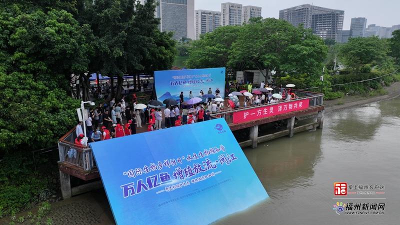 近万尾小鱼有了&ldquo;身份证&rdquo;！福州首次系统性放流标记鱼苗