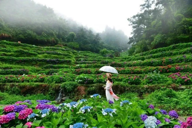 当第一缕夏风轻轻拂过枝头，花儿淡淡的清香飘荡山谷。漫步其间，伴着溪涧水流声，令人心旷神怡。