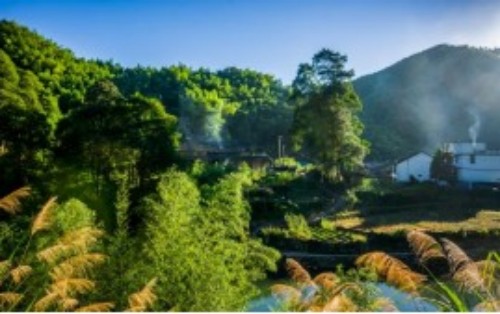 柘荣县乍洋乡青山连绵、畲村静谧，古韵悠长，在此无需追赶行程，静静感受便会被自然与时光治愈。