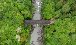 图片故事｜福建：守护千年廊桥 活化文脉遗产