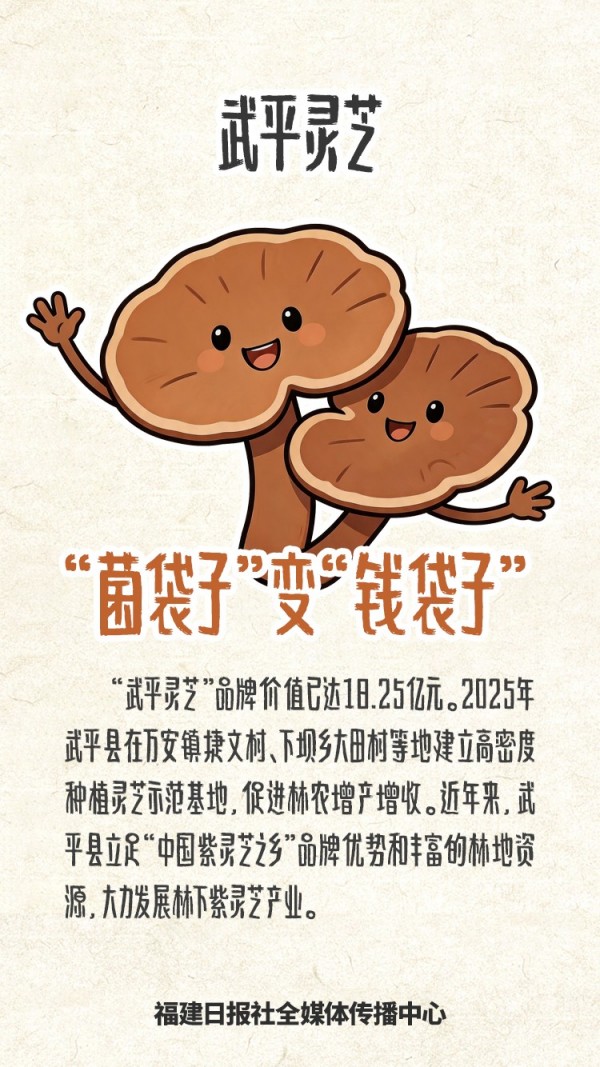 福建“好物”，真香！