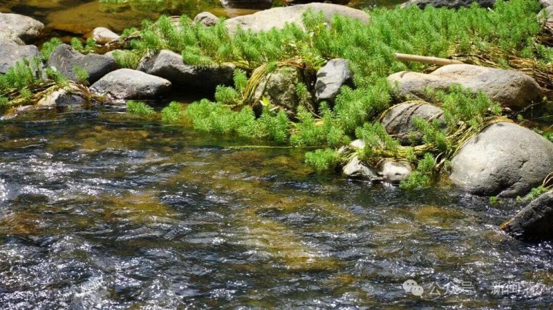 从闲置荒地到人气营地，北山洋野营基地的蜕变，不仅铺开了一片草坪，更兑现了一份民生承诺——让村民有地方可去，让乡村有未来可期。