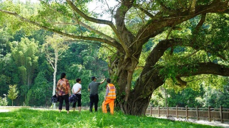 试运行期间，村民和游客随时可以来到这里，歇一歇脚，吹一吹风，亲近自然，放松心情。