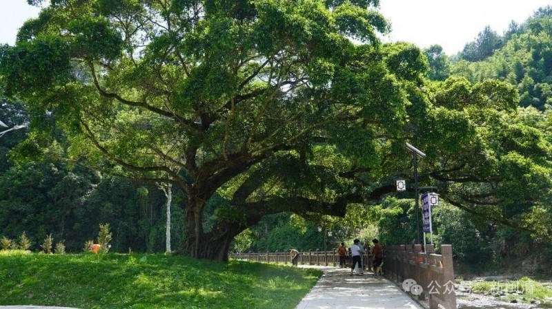 走进村口，沿溪而上，一片开阔的草坪映入眼帘——这就是刚刚建成、进入试运行的北山洋野营基地。