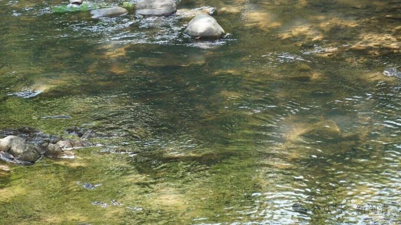 从闲置荒地到人气营地，北山洋野营基地的蜕变，不仅铺开了一片草坪，更兑现了一份民生承诺——让村民有地方可去，让乡村有未来可期。