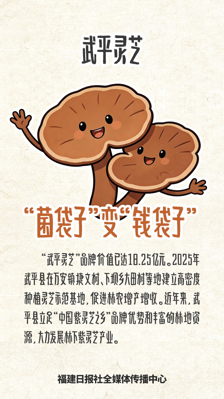 福建“好物”,真香!