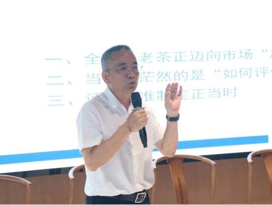 探见老茶市场真相！这场研讨会揭示行业新风尚